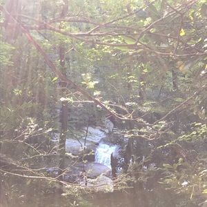 Meet your Posher, Bailey